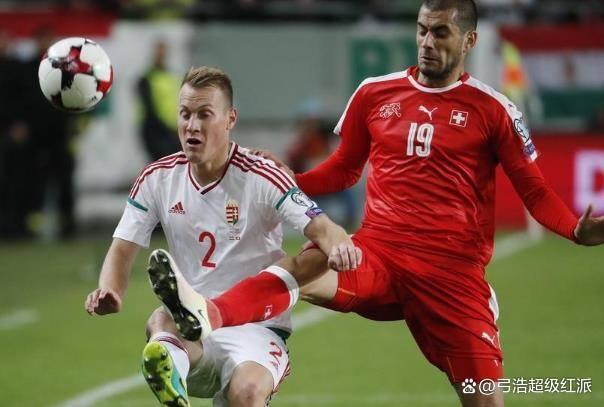 匈牙利队在比赛中展示出色表现