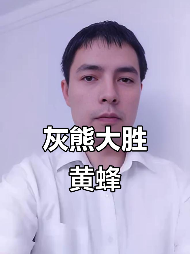 灰熊在加时战胜黄蜂，壮志继续的简单介绍