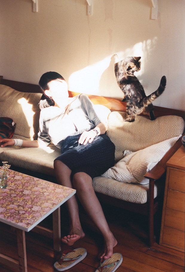 极速与鏖战,F1年度争冠焦点战与篮网步行者对决的激情交响