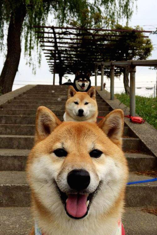 末节主宰，从步行者逆转北京到塔图姆的接管时刻