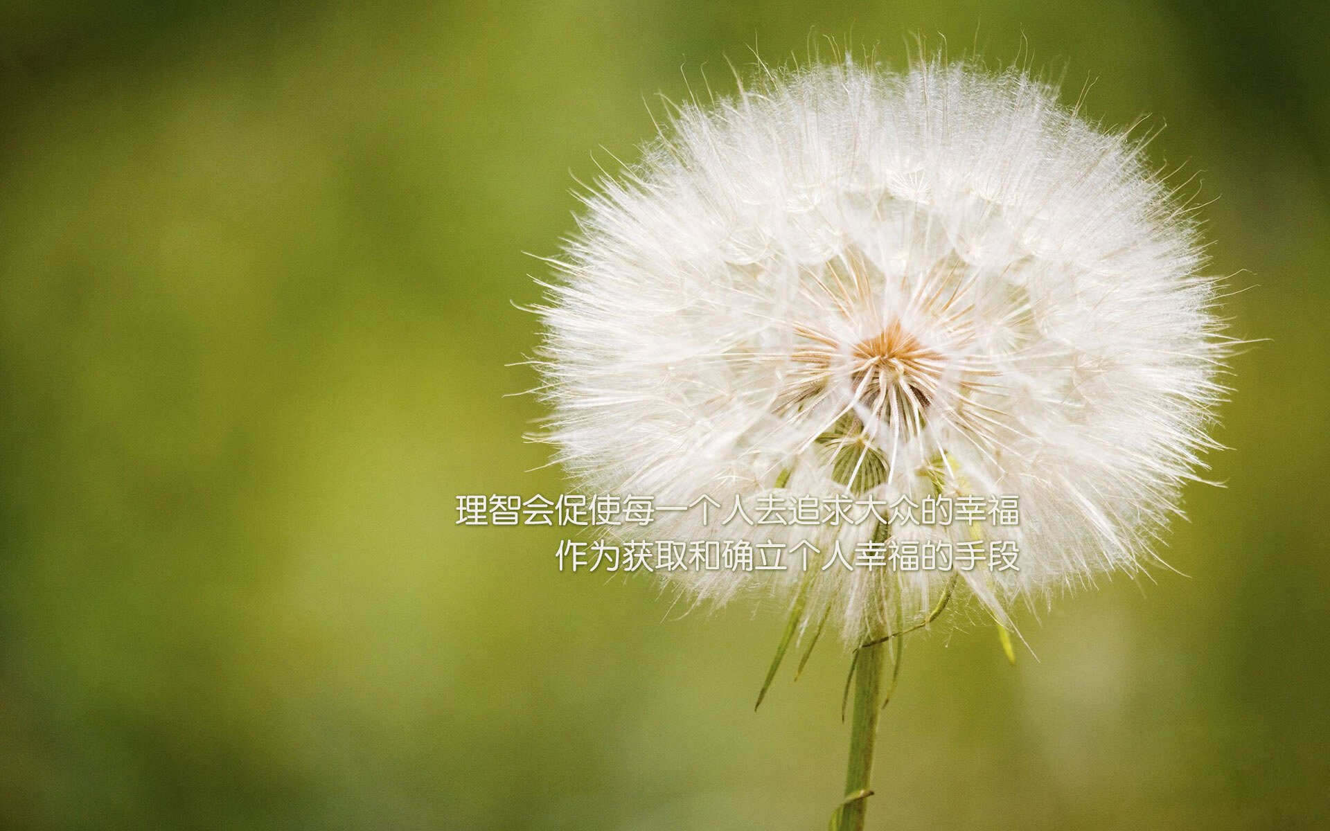 利拉德终场三分一剑封喉!掘金险胜篮网关键先生再现杀手本色