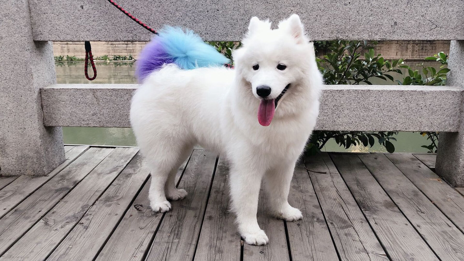 字母哥主宰关键战!广厦力克浙江取重要胜利