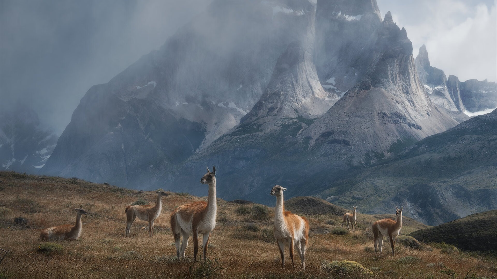 力克与接管，威尔士的坚韧与弗拉霍维奇的封神之夜