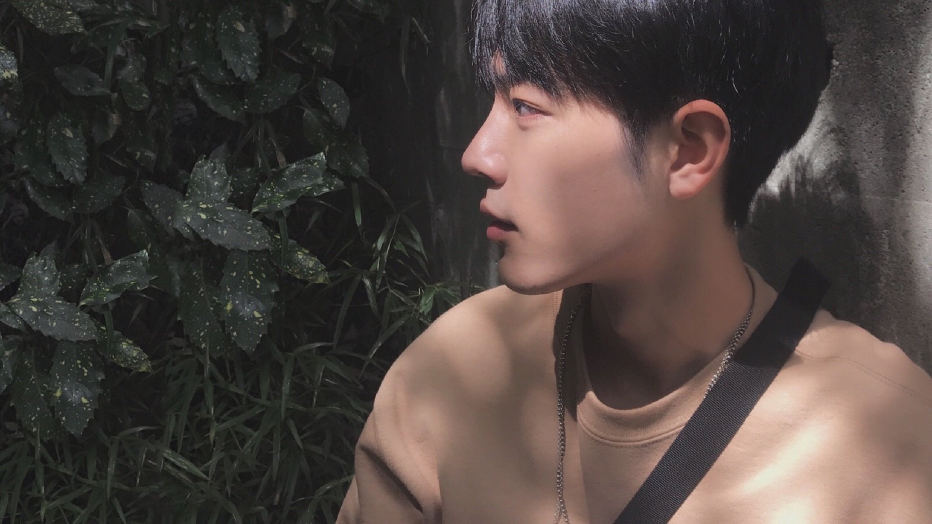 破晓之时，燎原之火，格纳布里如何在瑞典铁壁上点燃进攻烈焰