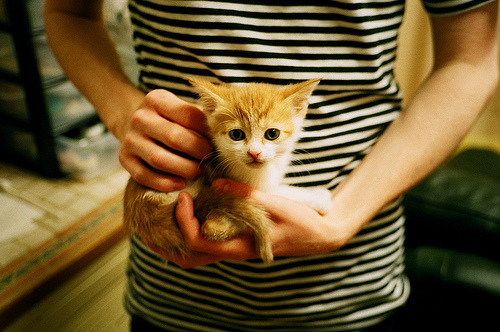 火箭掀翻国王，库里成为关键先生—一场逆转胜局的篮球盛宴