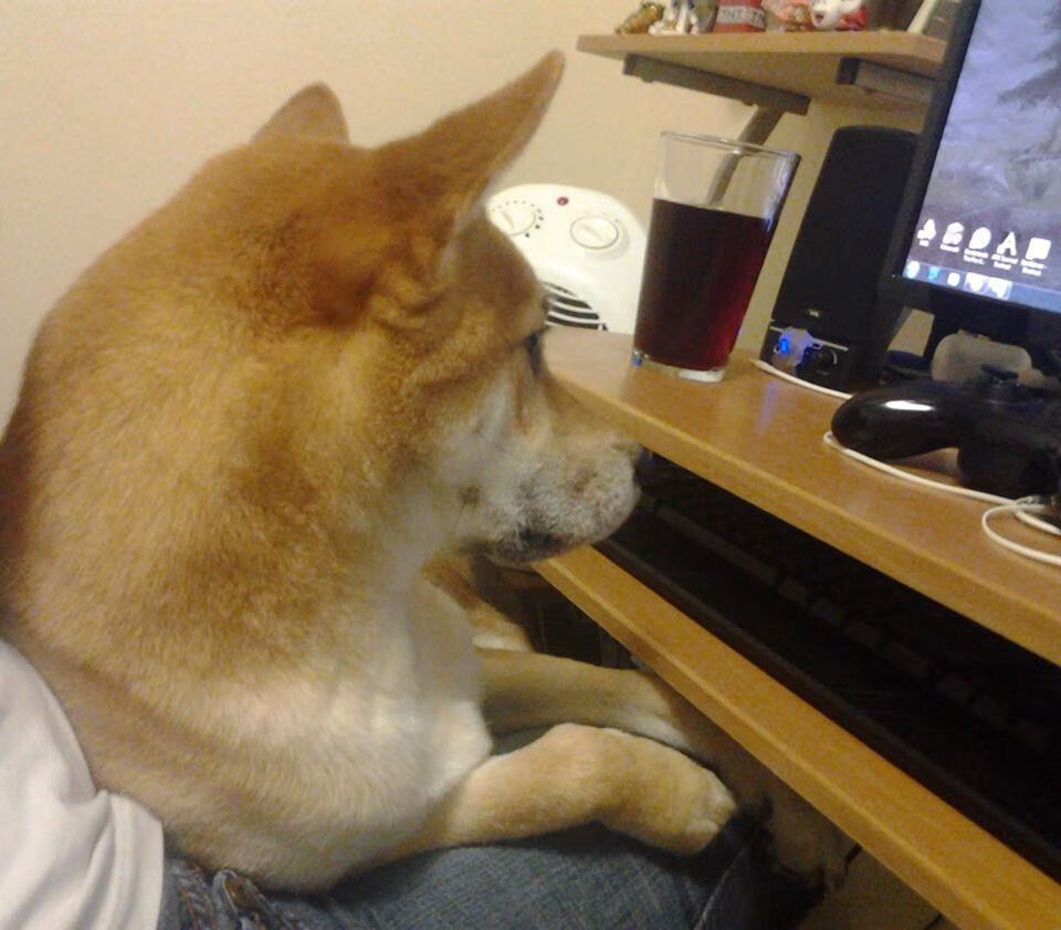 总决赛抢七夜，哈利伯顿用史上最全能数据谱写王者史诗