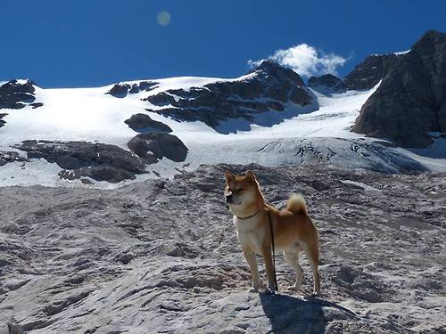 沙漠雄狮咆哮西决！突尼斯生死战碾碎巴拉圭，篮球世界地图就此重绘？