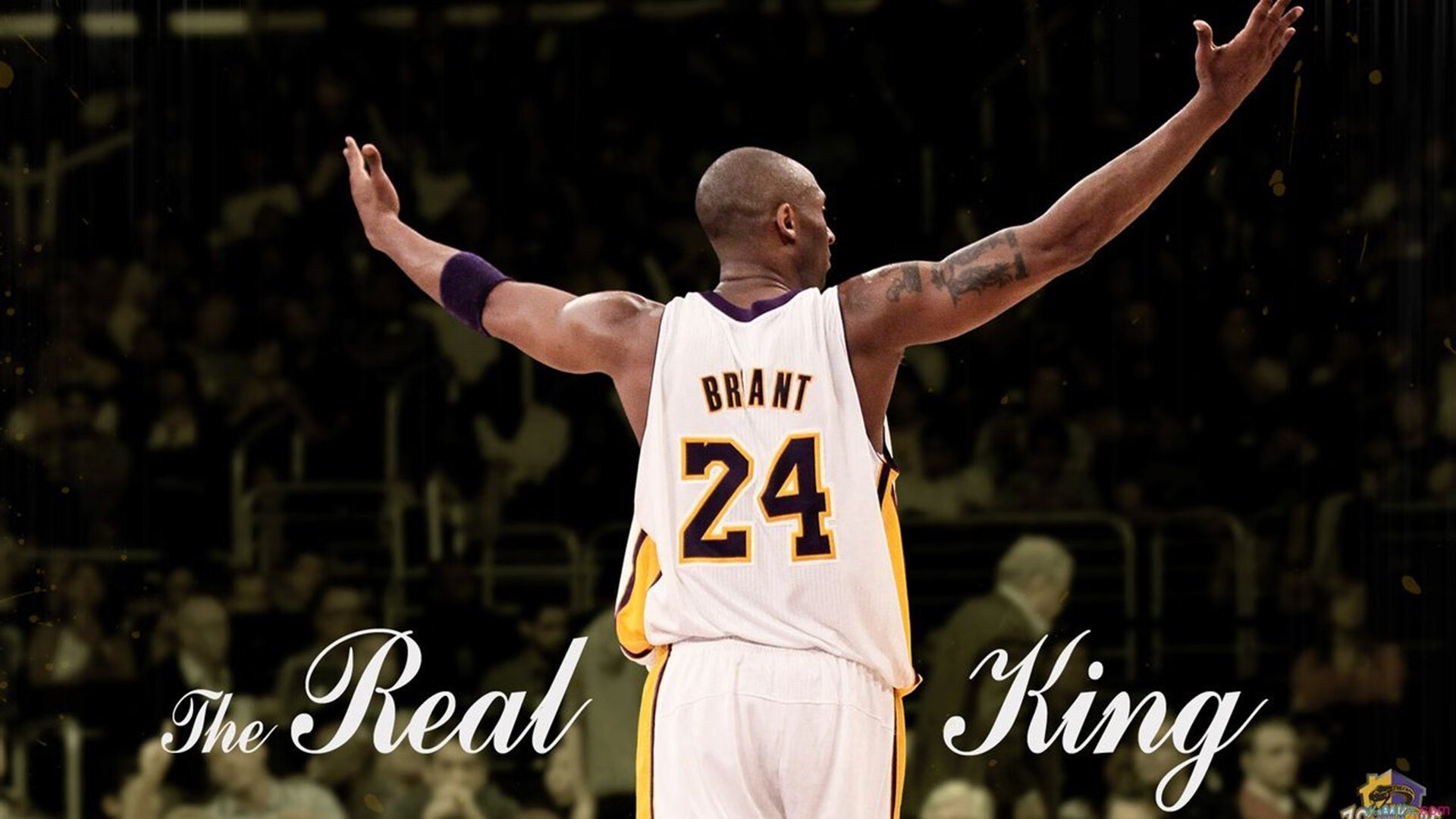 活塞轰鸣与禁区风暴，当霍勒迪的F1式操控撕裂山西防线