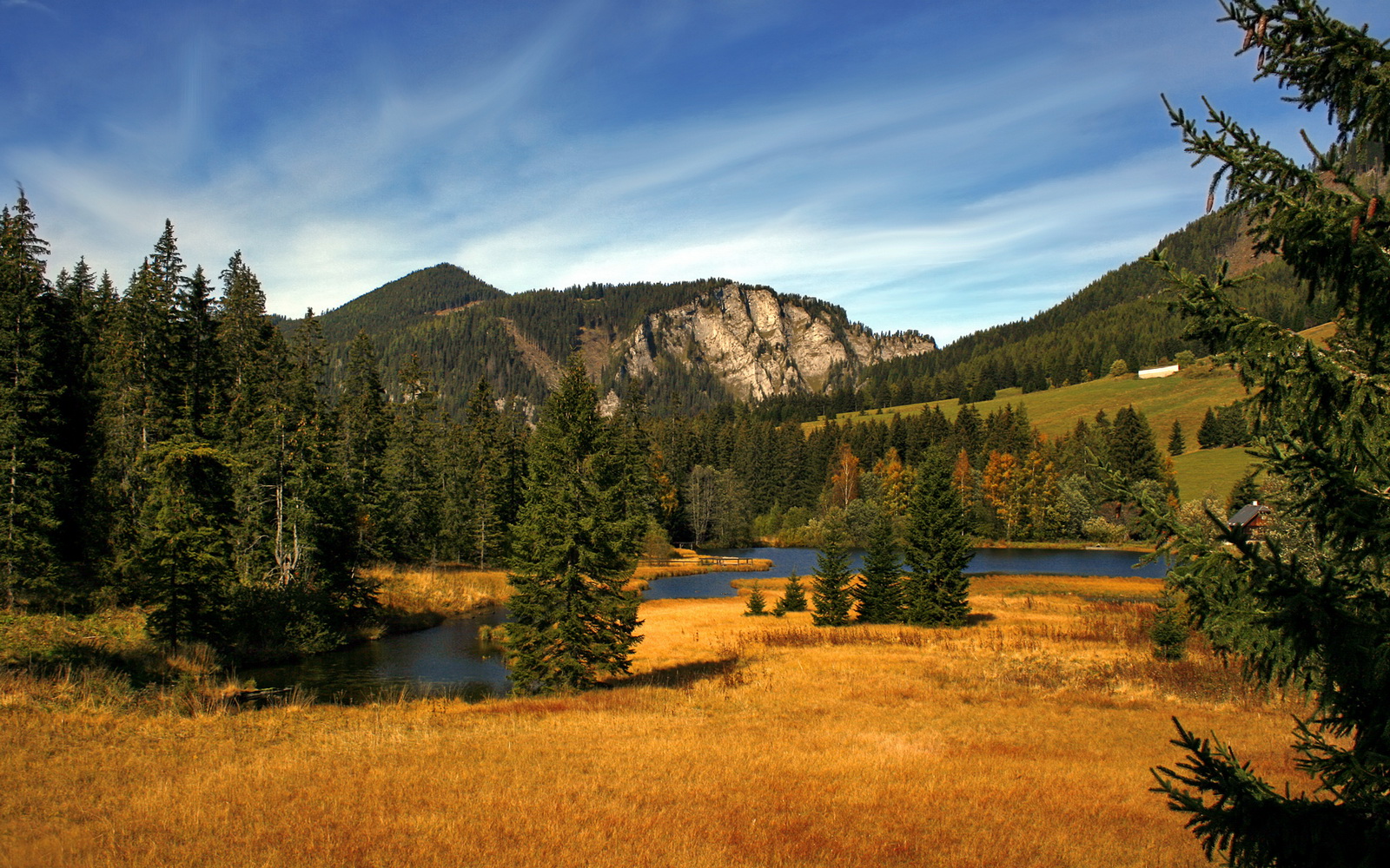 橙色风暴再起，荷兰2026世界杯关键战2-1险胜澳大利亚，惊险晋级十六强