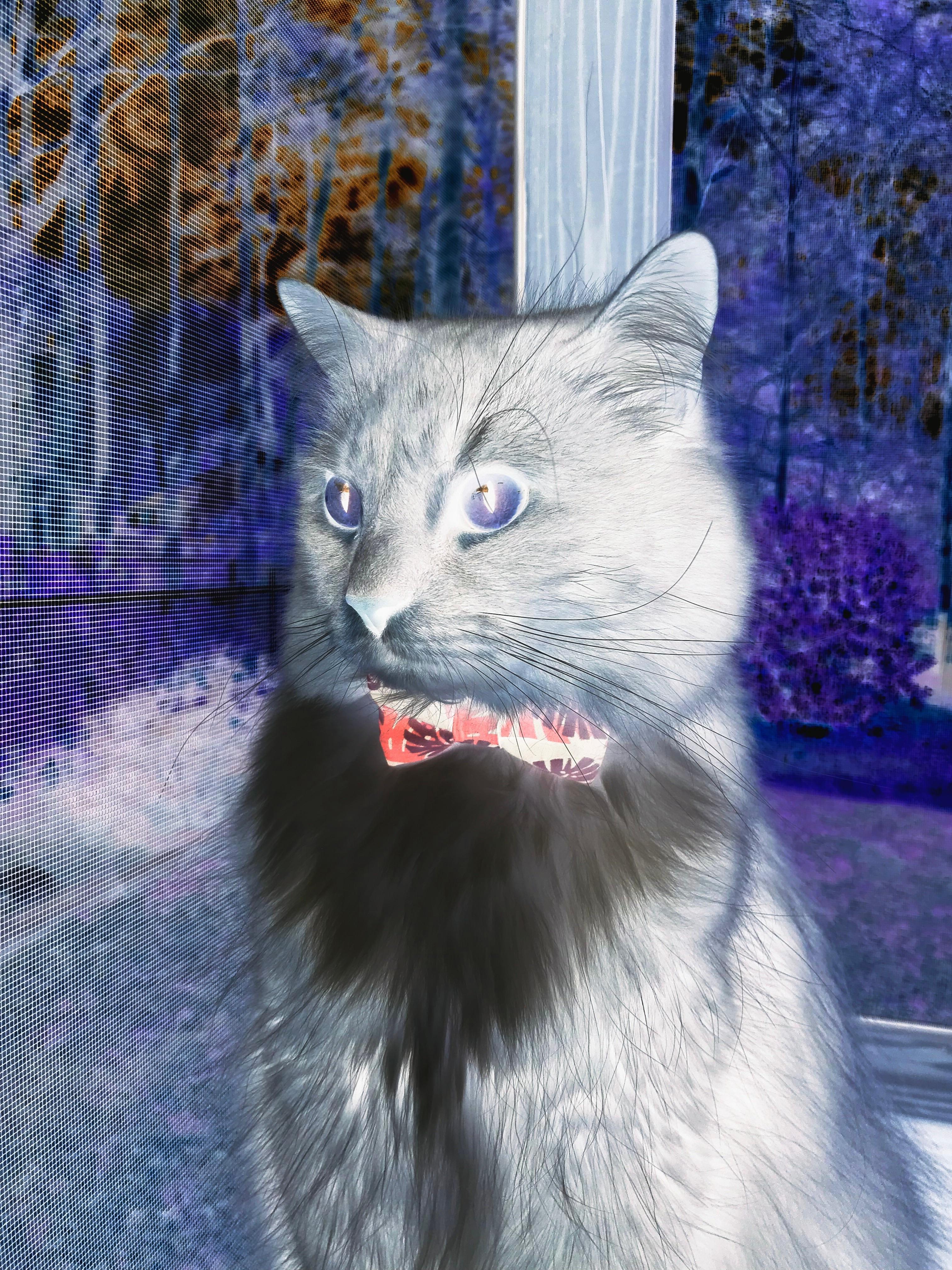 开云体育平台APP-凯尔特人给上海队上的一堂现代篮球课